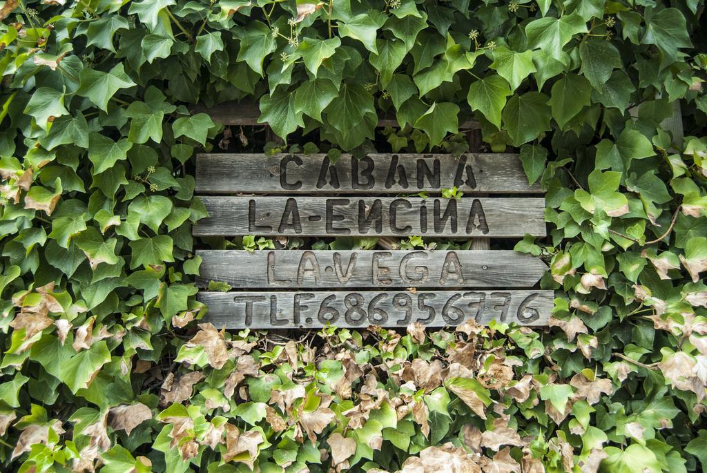 Cabana De Madera La Encina Burunchel Kültér fotó